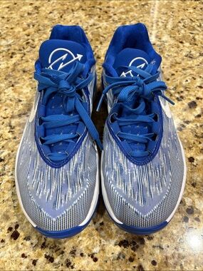 Nike Royal Blue Running/Basketball Shoes with White Trim